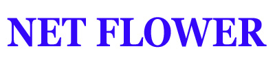 Net Flower